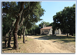 Sant Romà, Sant Feliu de Buixalleu